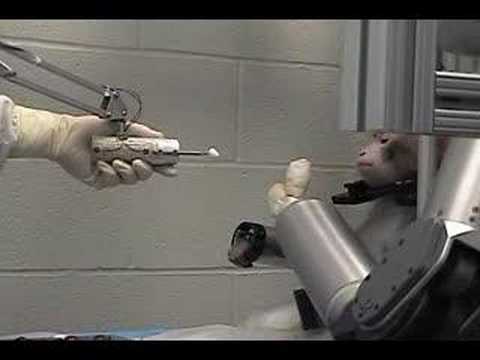 Monkey&#039;s brain controls robotic arm