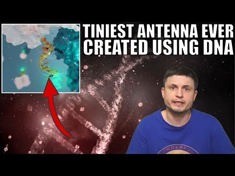 Scientists Used DNA To Create World&#039;s Smallest Antenna Ever For an Unusual Reason