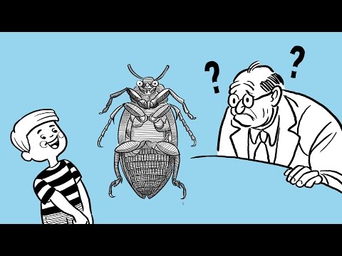 Wittgenstein&#039;s Beetle in a Box Analogy