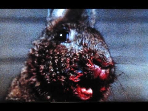 Top 10 Worst Giant Movie Monsters - 44