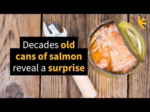 Decades Old Cans of Salmon Reveal a Surprise