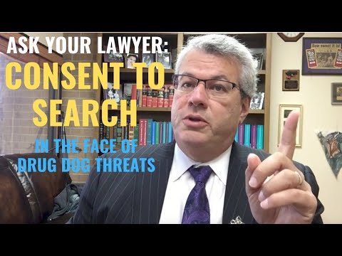 Consent to Search &amp; Drug Dogs | &quot;If you don&#039;t consent, we&#039;ll just get the drug dog&quot;