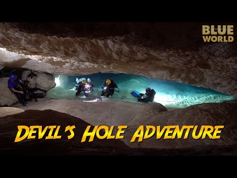 Devil&#039;s Hole Adventure! | JONATHAN BIRD&#039;S BLUE WORLD