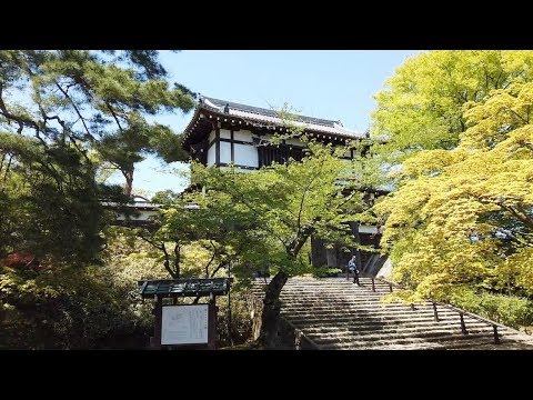 Akita, Japan - Full Tour (2019)