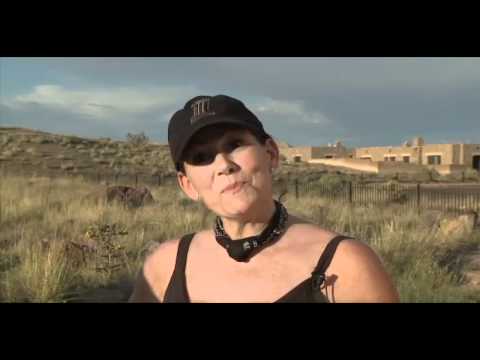 Petrified Forest National Park rangers pile up &quot;cursed&quot; wood