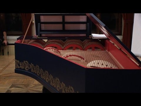 Da Vinci&#039;s &#039;Viola Organista&#039; comes to life in Poland
