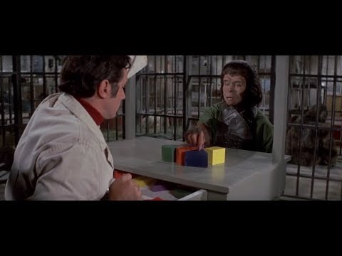 Escape from the Planet of the Apes (1971) Intelligence test part 1/7