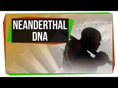 What Neanderthal DNA Is Doing To Your Genome