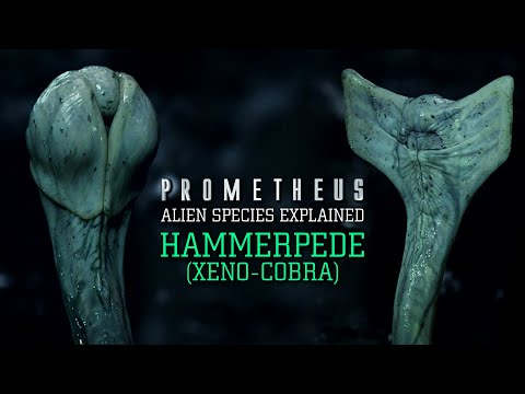 The Hammerpede (Xeno-Cobra) - Alien Species Explained (Prometheus)