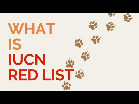 What is the IUCN Red List?