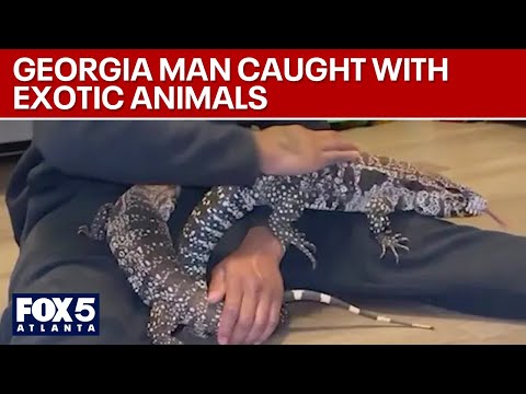 Georgia man caught with exotic animals says he had good intentions | FOX 5 News