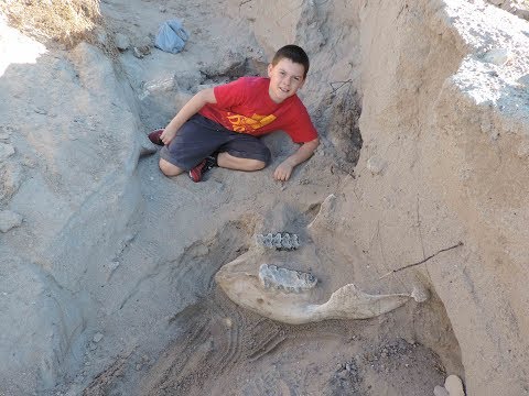 NMSU experts dig up Las Cruces boy’s million-year-old fossil find