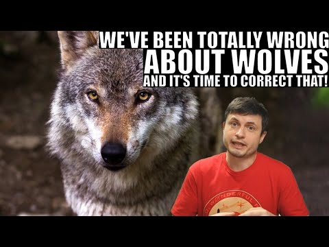 We Were Wrong About Wolves and Wolf Packs This Whole Time