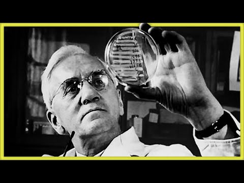 How Alexander Fleming Discovered Penicillin &amp; Changed the World