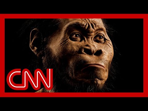 &#039;That just died&#039;: Paleoanthropologist debunks myth about humans
