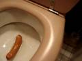 10 Bizarre Toilet Tales From Around the World - 17