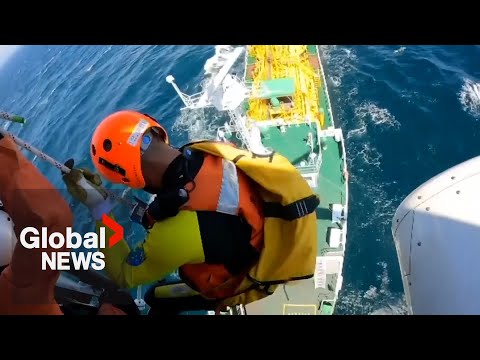 Swimmer lost for 37 hours rescued while floating 80 km off Japanese coast