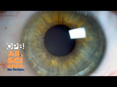 Could bionic eyes help us see better? | All Science. No Fiction.