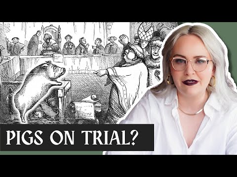 Why Medieval People Put Pigs on Trial for Murder