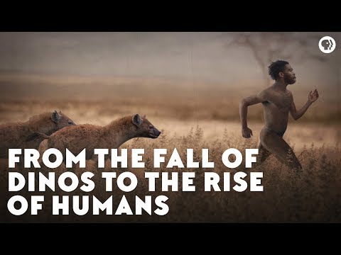 From the Fall of Dinos to the Rise of Humans