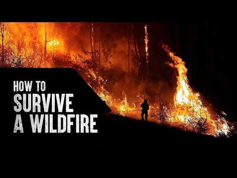 How to Survive a Wildfire