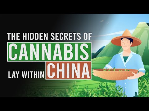 Does China hold the secret to the origins of Cannabis?!?