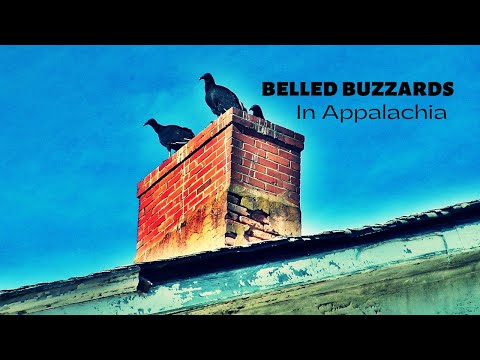 Belled Buzzards in Appalachia