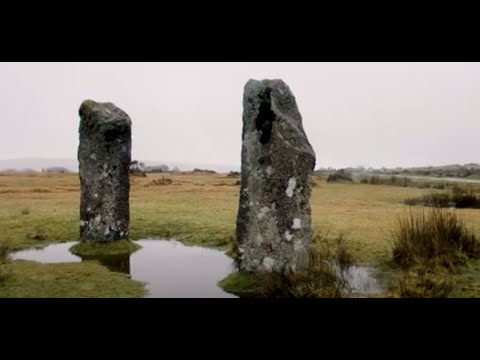 ハーラーズの動画