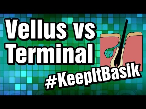 Vellus vs Terminal Hair - #KeepItBasik
