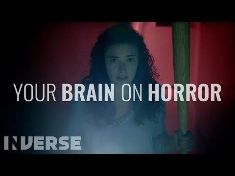 Your Brain on Horror Movies | Inverse