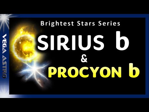 ⭐What were Sirius B &amp; Procyon B originally like?? - Progenitor Stars⭐
