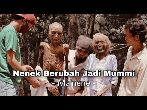 Ternyata Ini Rahasia Nenek Toraja di Ma&#039;nene Bisa Berdiri Tegak, Jangan Lihat Jika Tak Sanggup