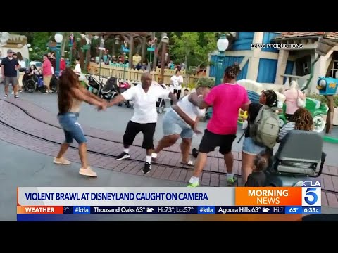 Viral Video Shows Fight at Disneyland