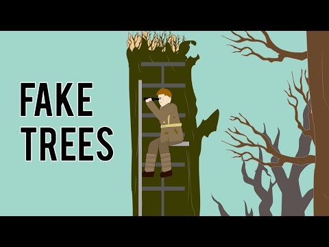 Fake Trees (Weird Tech)