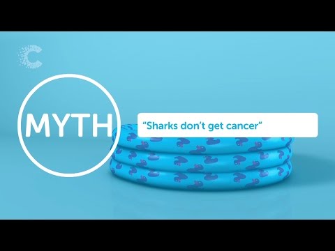 Do Sharks Get Cancer?