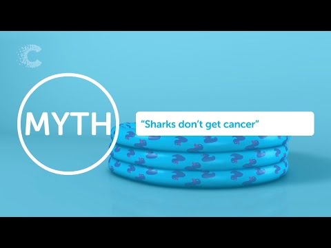 Do Sharks Get Cancer? | Cancer Research UK