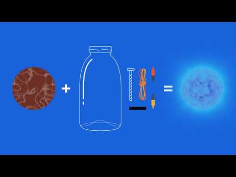 How does a microbial fuel cell work?