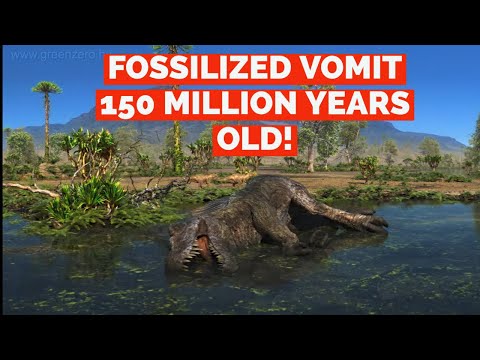 FOSSILIZED VOMIT FROM 150 MILLION YEARS AGO!