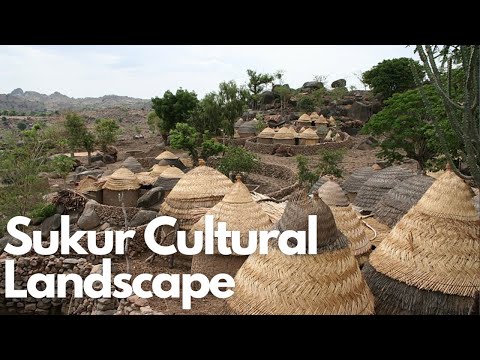 スクールの文化的風景