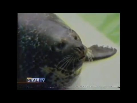 10 Astonishing Animal Abilities Scientists Never Saw Coming - Listverse