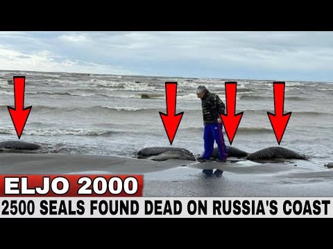 10 Mass Animal Die-Offs That Looked Like the Apocalypse - Listverse