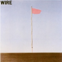 Wire Pink Flag