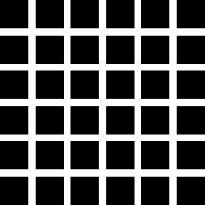 232px-hermann-grid-illusion.svg-tm.jpg