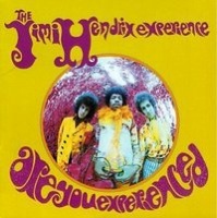 4. Are You Experienced