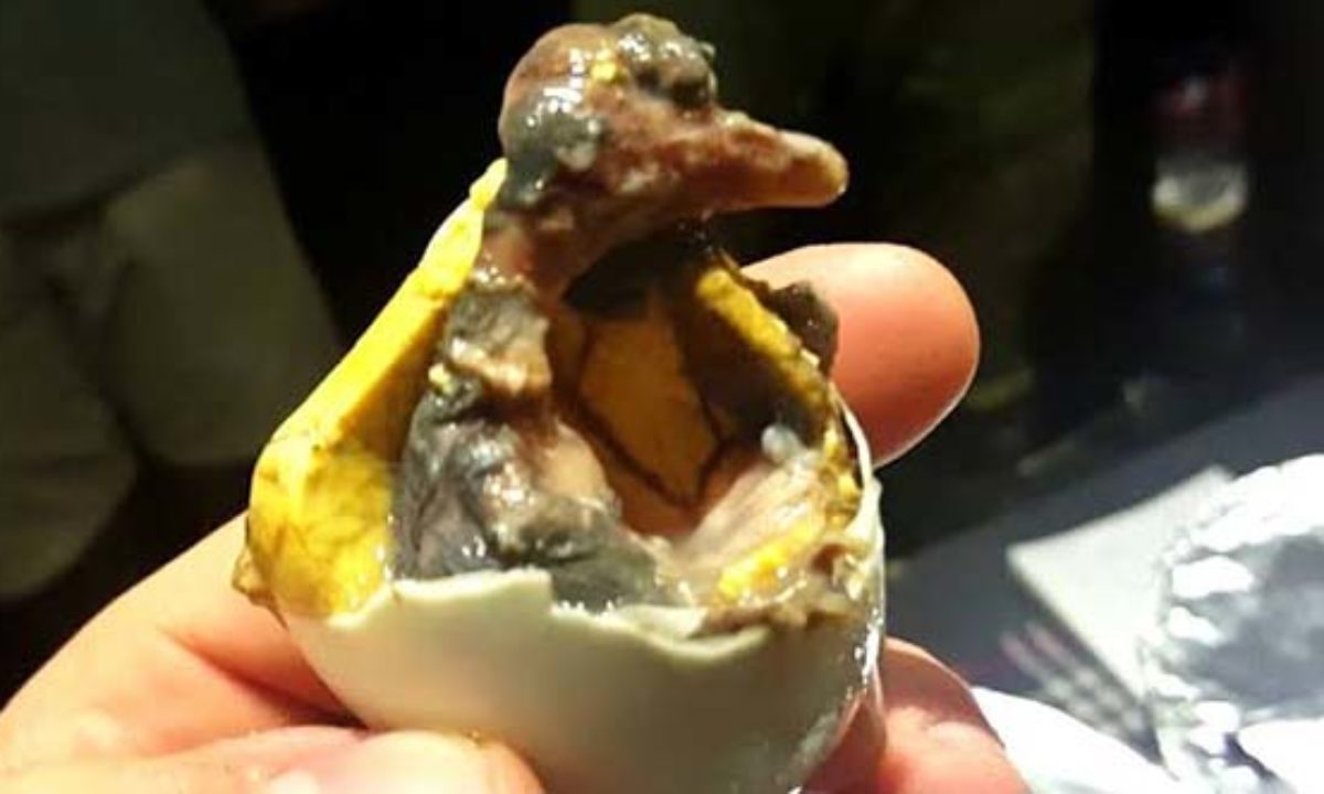 10 of the world's weirdest and grossest national delicacies to try - if you  dare