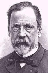 Pasteur1