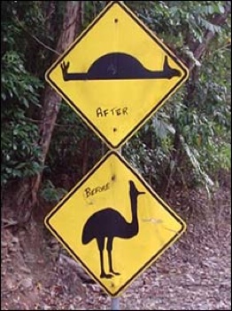 Lucy Black Funny Australian Road Sign 225X300