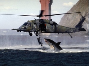  Shark Attack 01-1