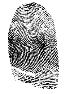 Fingerprint3