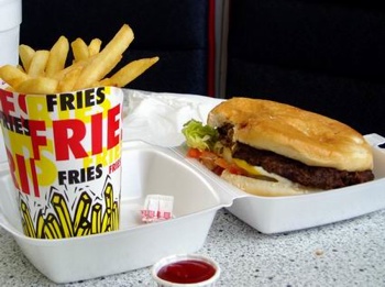 Fast Food Burger Fries